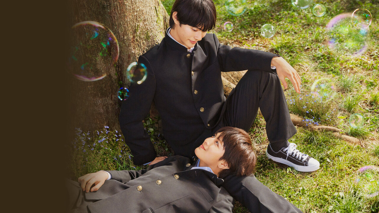 君には届かない。﻿を観﻿る | Netflix