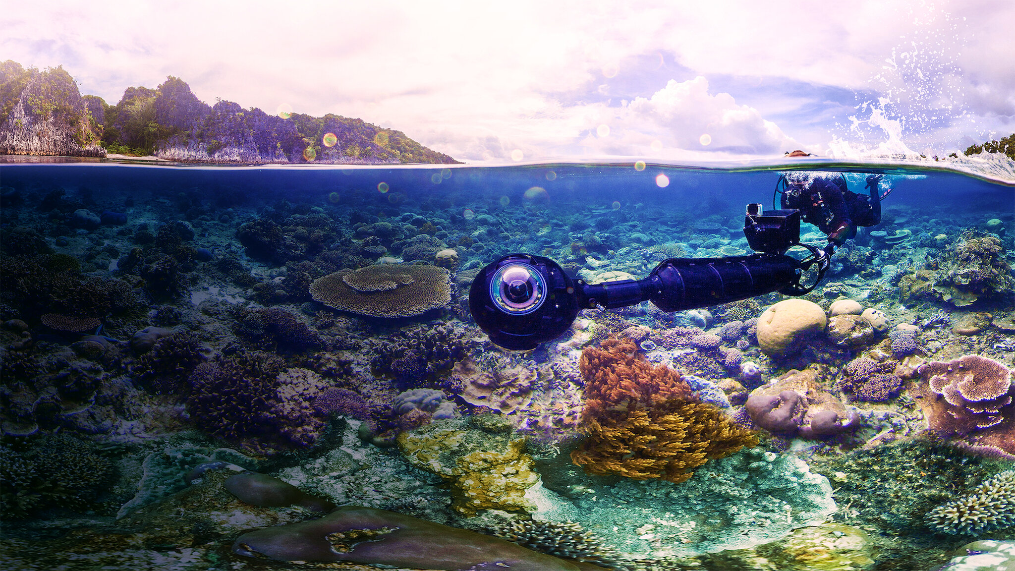 チェイシング・コーラル －消えゆくサンゴ礁－﻿を観﻿る | Netflix (﻿ネ