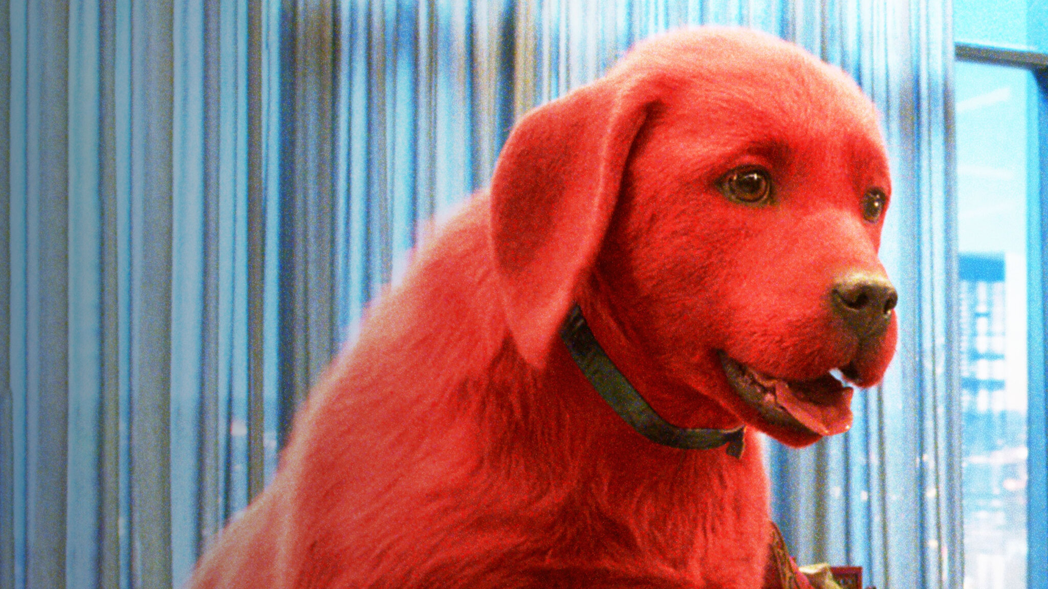 でっかくなっちゃった赤い子犬 僕はクリフォード﻿を観﻿る | Netflix