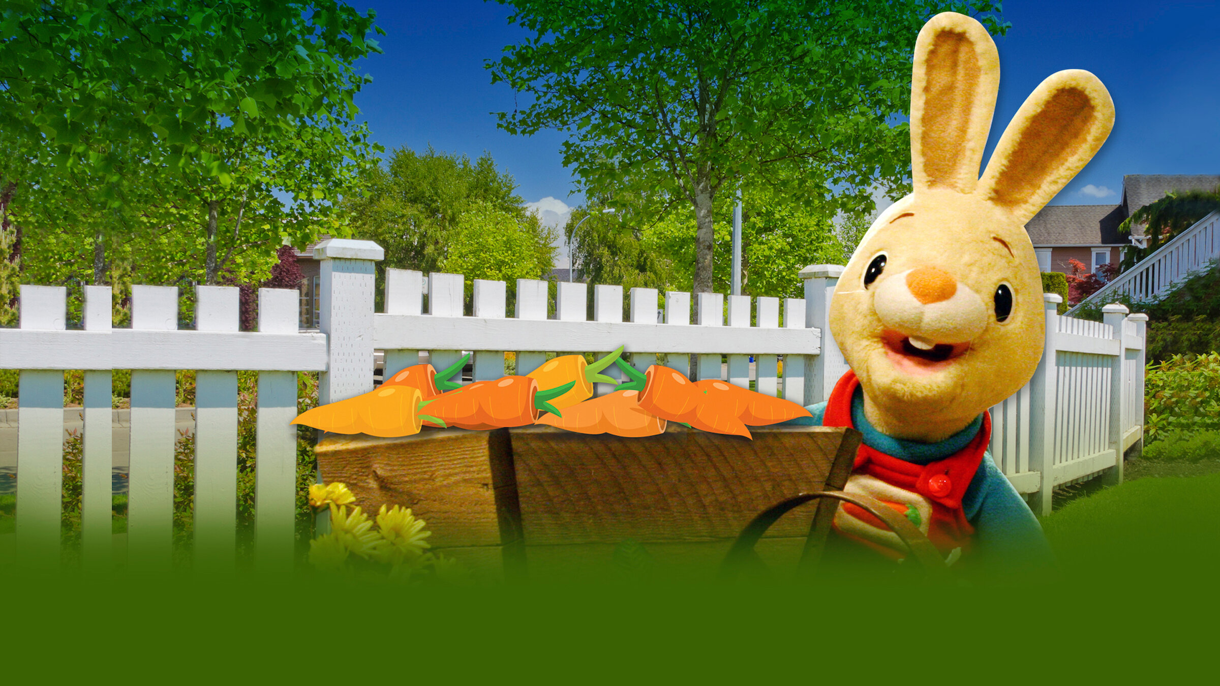 Harry The Bunny