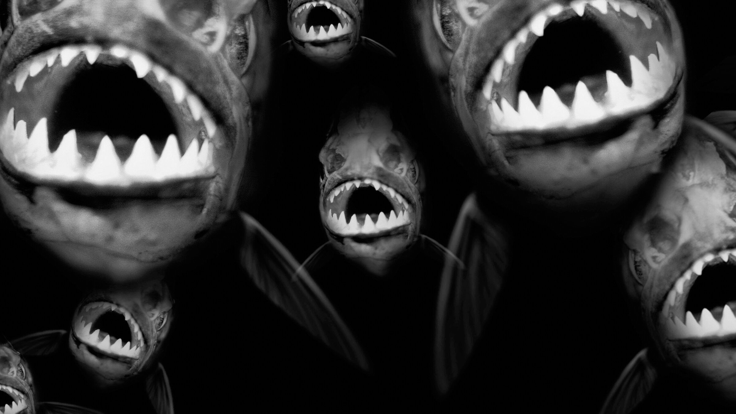 Watch Piranha | Netflix, image size:2400x1350