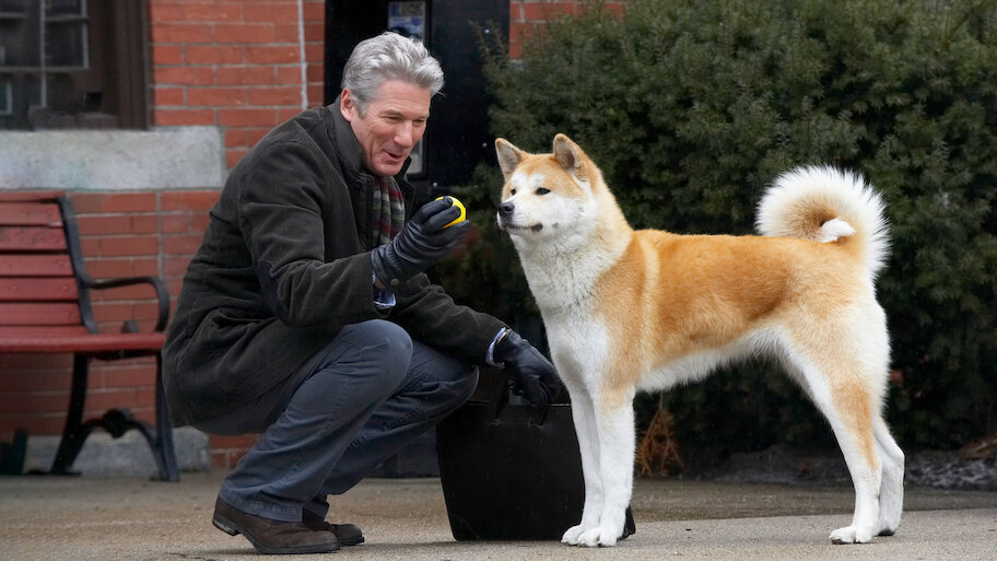 Amazon.com: Hachi: A Dog's Tale : Gere, Richard, Alexander