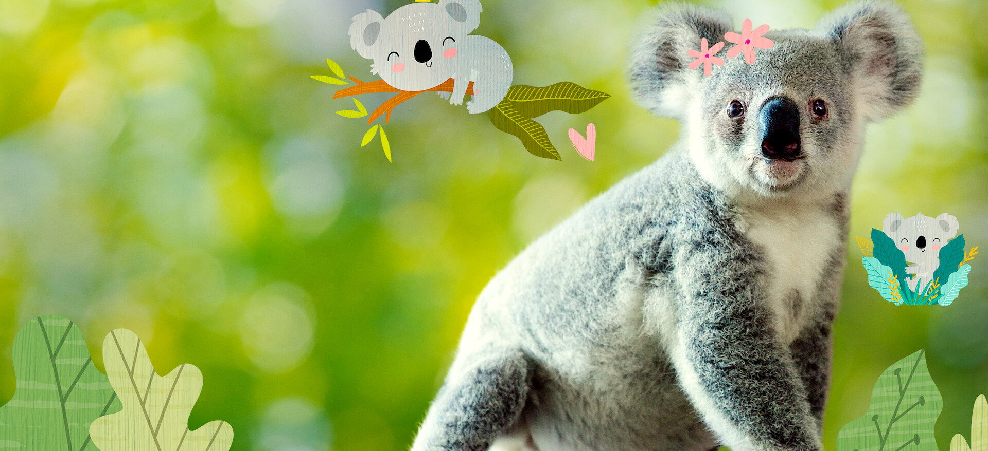 koalaページです。 Watch Izzy's Koala World | Netflix Official Site