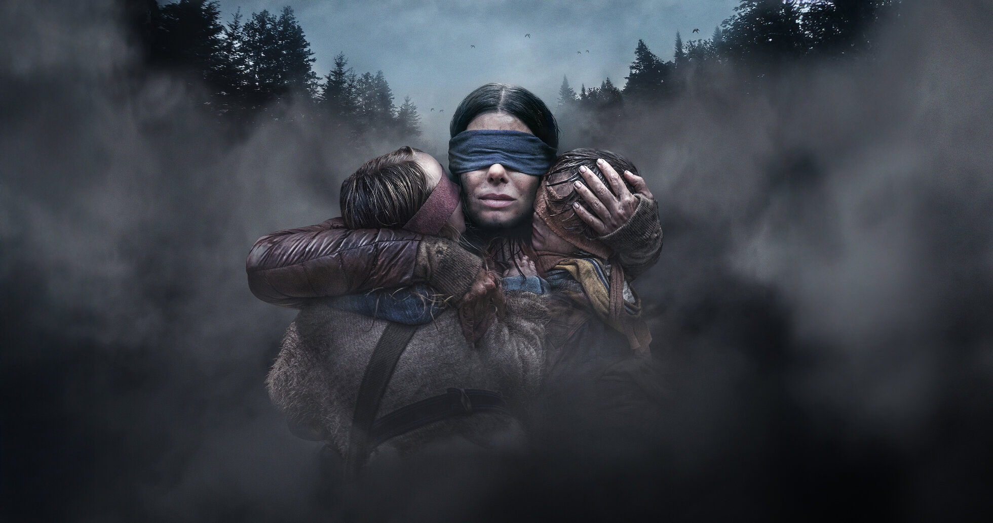 What Implications Does Bird Box Have on Social Behaviors: Insights