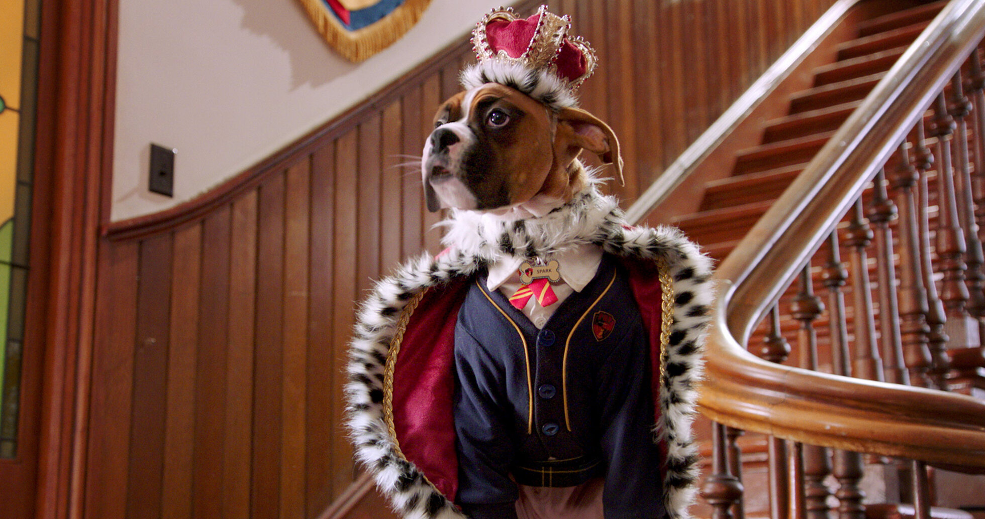 Dog Tales Tv Show 60 Photos - Moonagedaydream.film