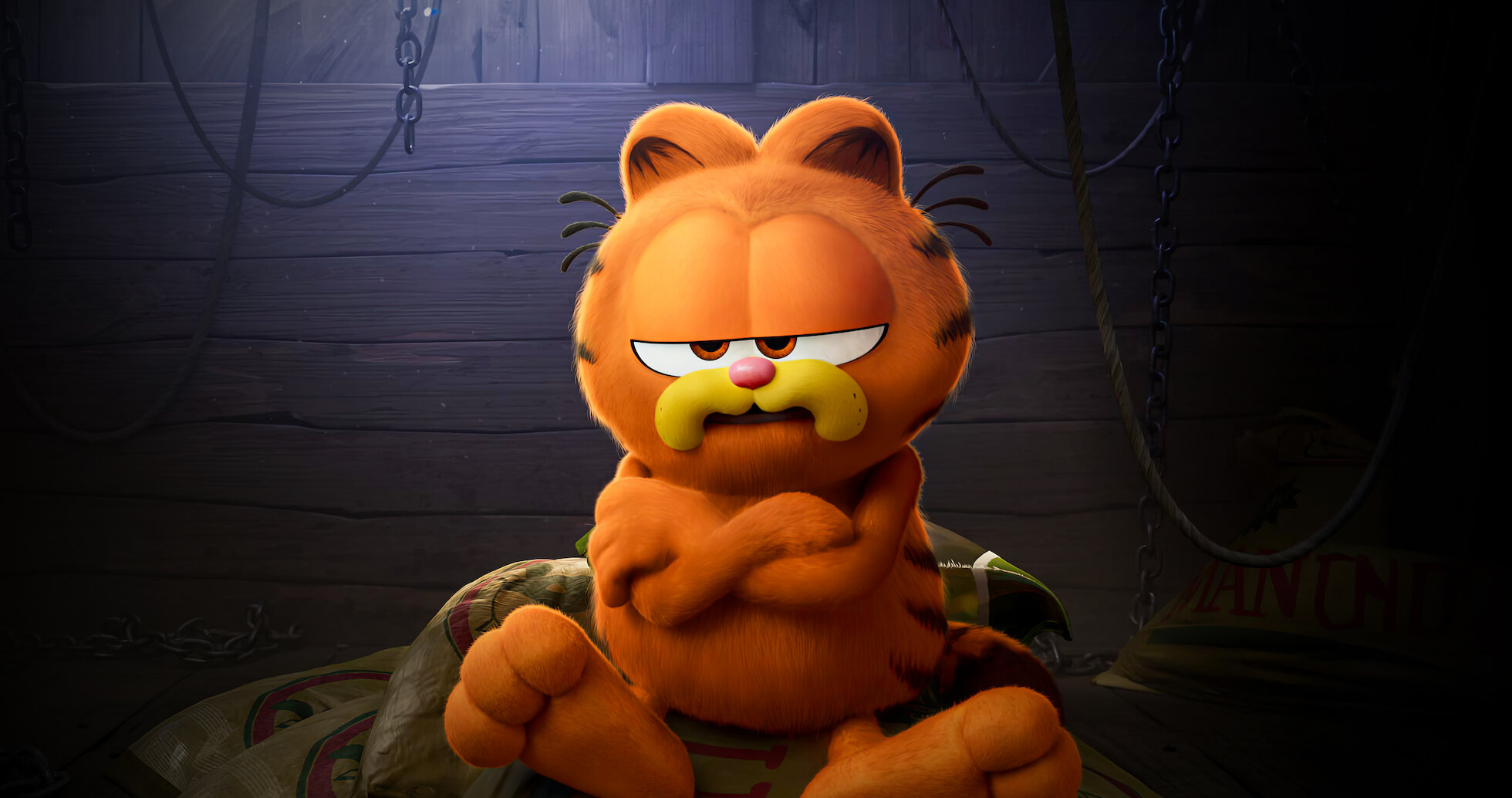 Watch The Garfield Movie | Netflix