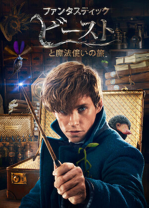 ファンタスティック・ビーストとダンブルドアの秘密﻿を観﻿る | Netflix